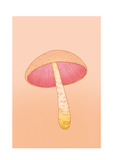 Shroom 5