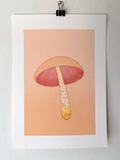 Shroom 5