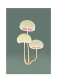 Shroom 6