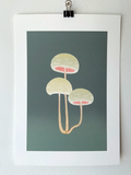 Shroom 6